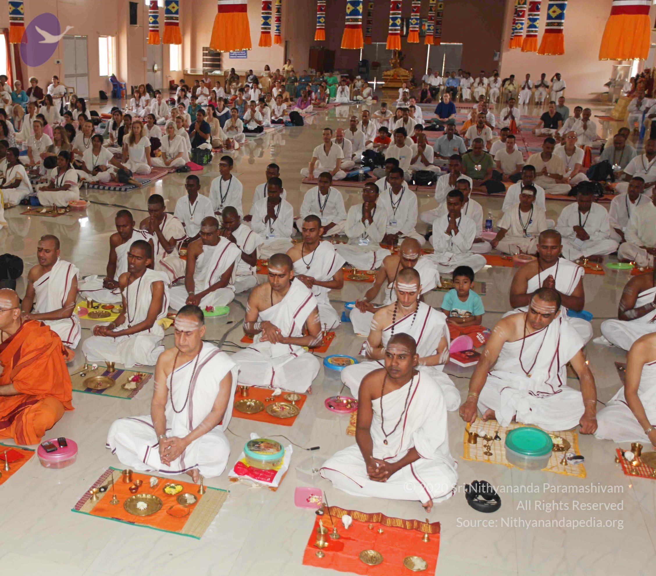 IMG_5700_CMP_WM Done